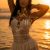 Athens Escort Ariela VIP ⭐️ - Εικόνα4 Athens Escort Ariela VIP ⭐️ - Εικόνα4